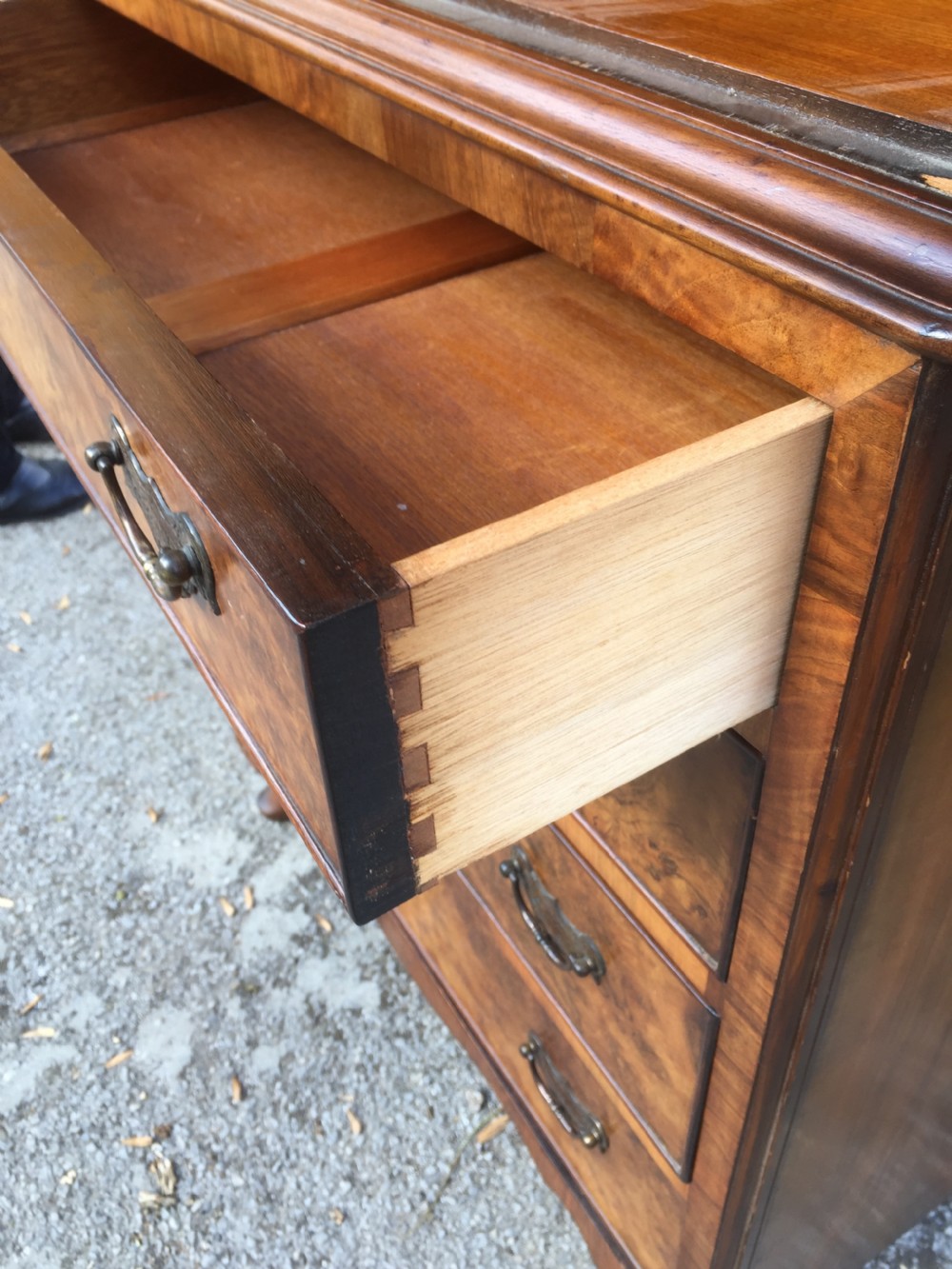 Burr walnut dome topped cupboard over drawers circa 1920 of small proportions  View X