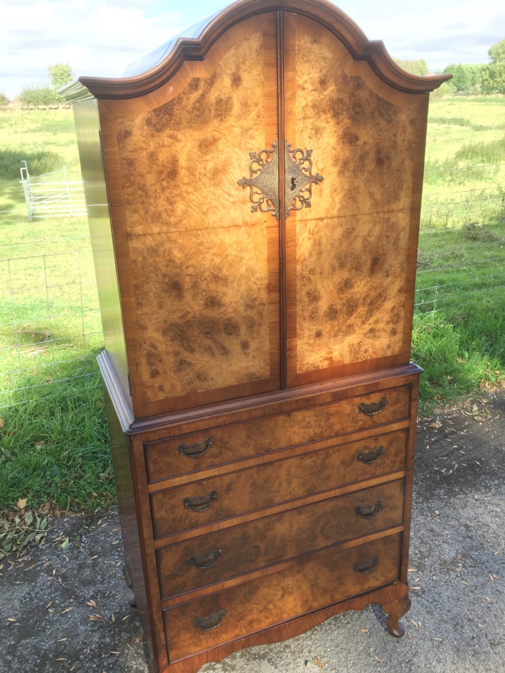Burr walnut dome topped cupboard over drawers circa 1920 of small proportions  View XII