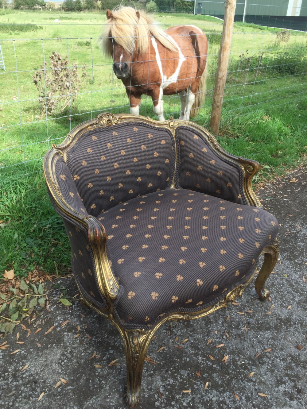 Late nineteenth century French armchair with scrolling gilt frame  View III