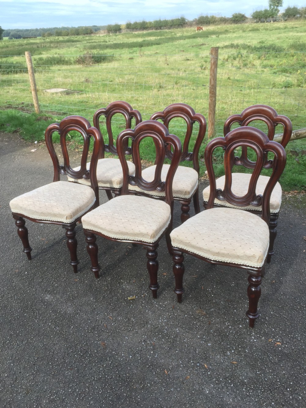 Six nineteenth century solid mahogany dining chairs circa 1870 View II