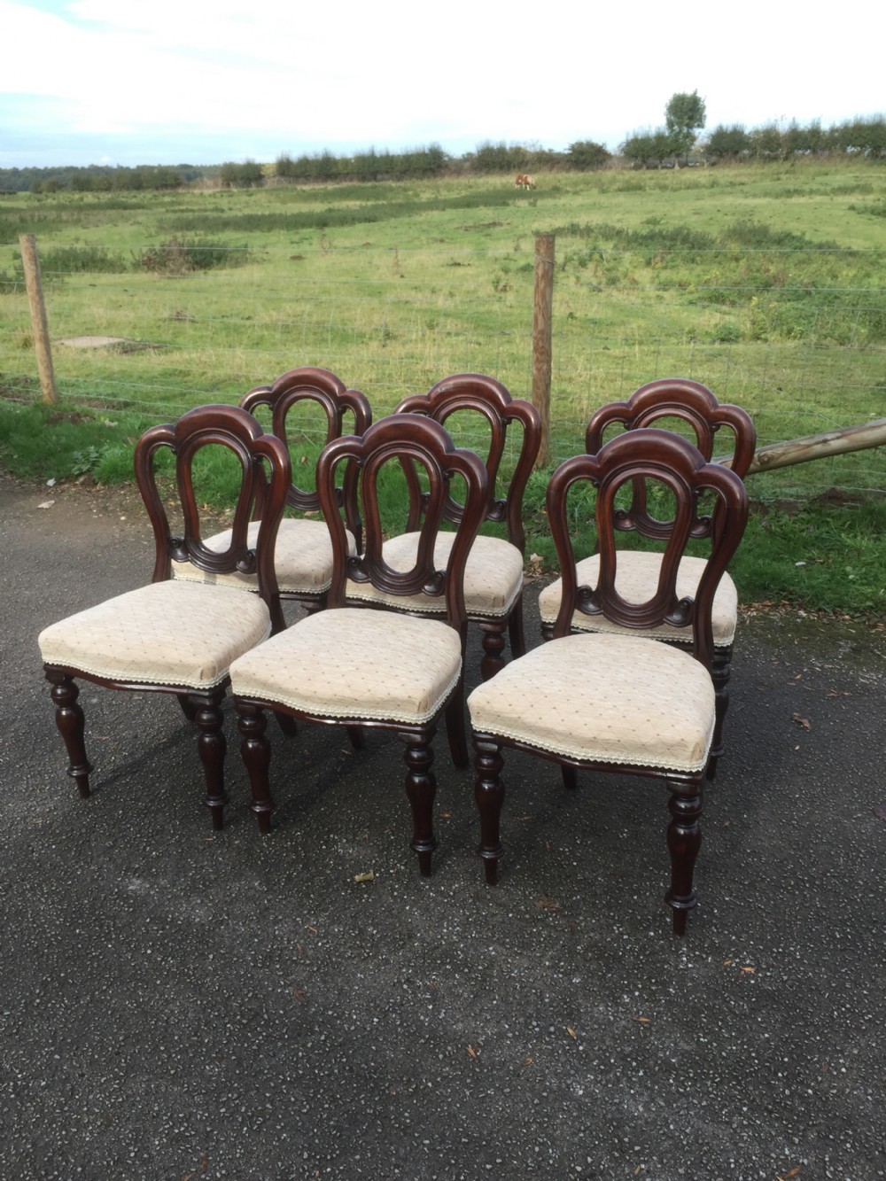 Six nineteenth century solid mahogany dining chairs circa 1870 View IX