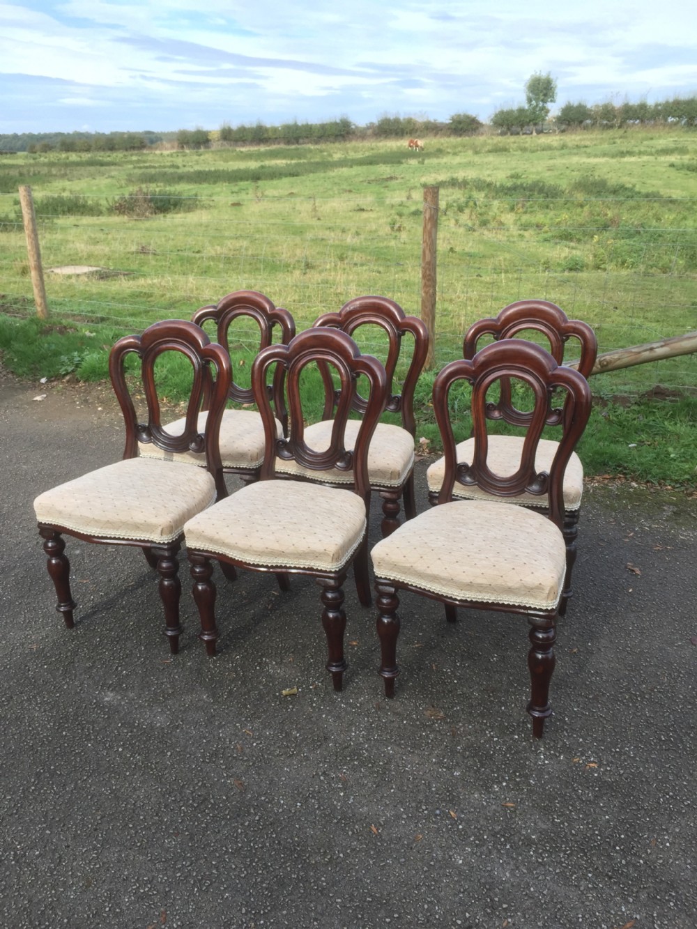 Six nineteenth century solid mahogany dining chairs circa 1870 View X