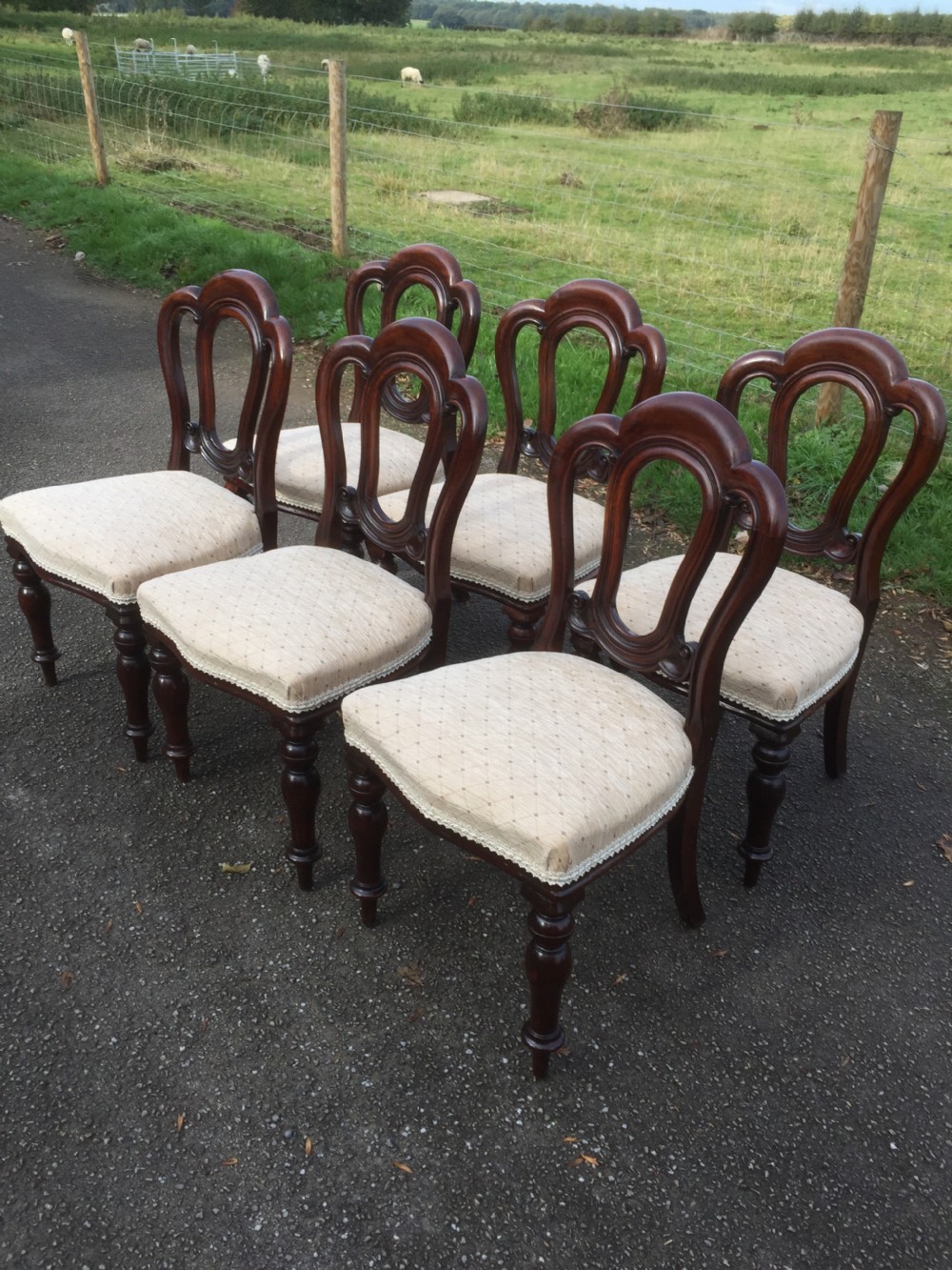 Six nineteenth century solid mahogany dining chairs circa 1870 View XI