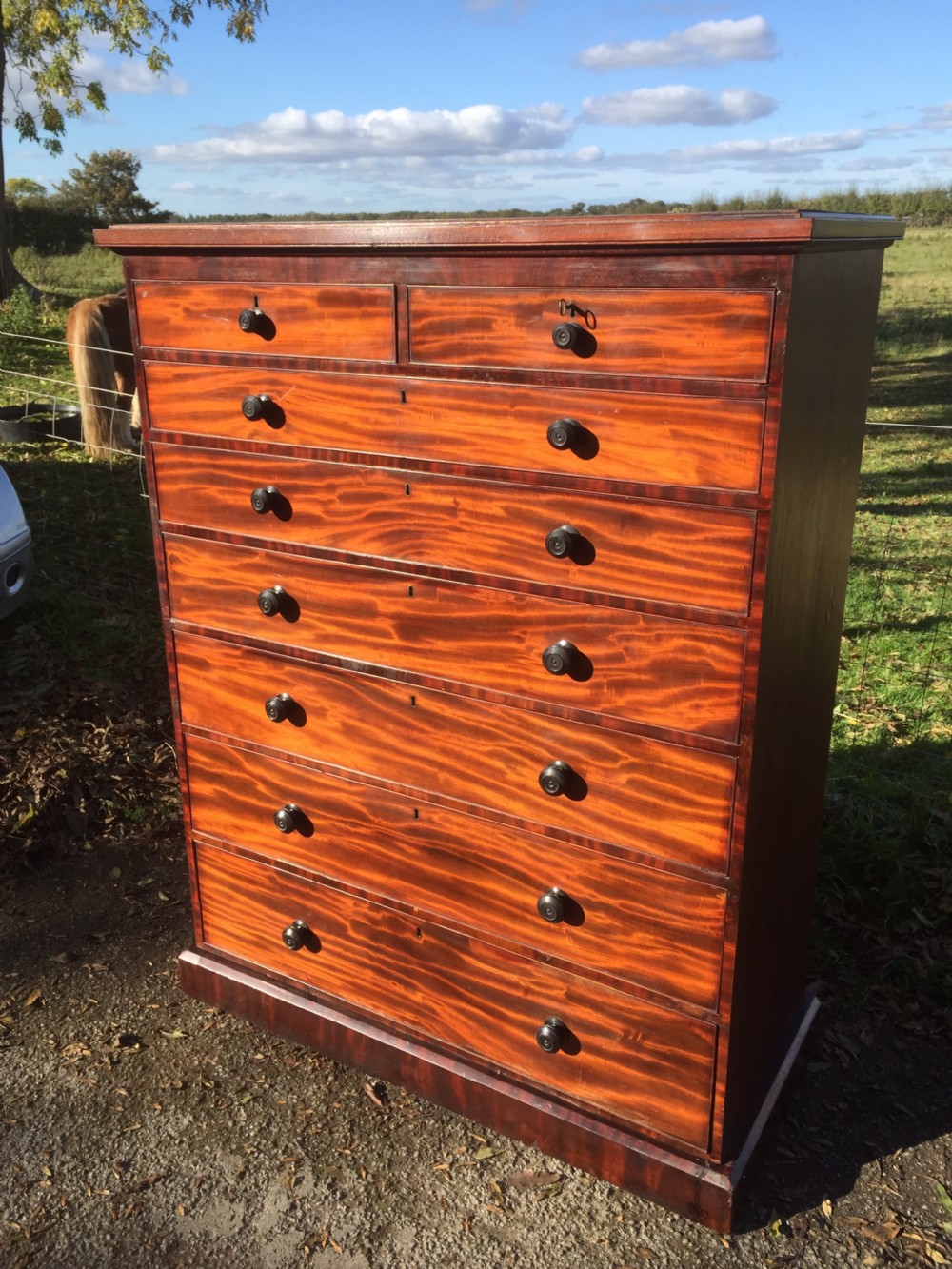 Nineteenth century seven height flame mahogany Chest Of Drawers  View III