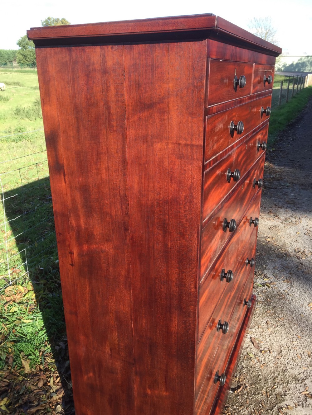 Nineteenth century seven height flame mahogany Chest Of Drawers  View IV