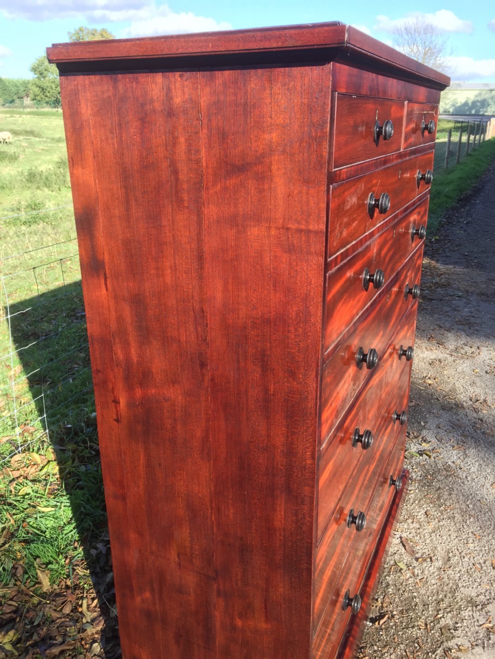 Nineteenth century seven height flame mahogany Chest Of Drawers  View V