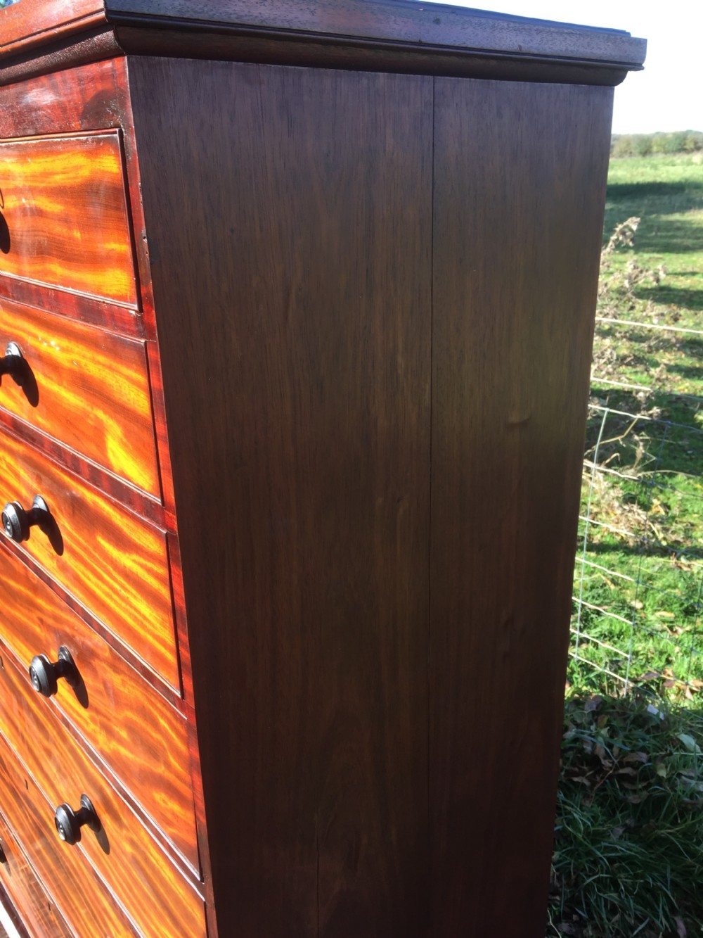 Nineteenth century seven height flame mahogany Chest Of Drawers  View VIII