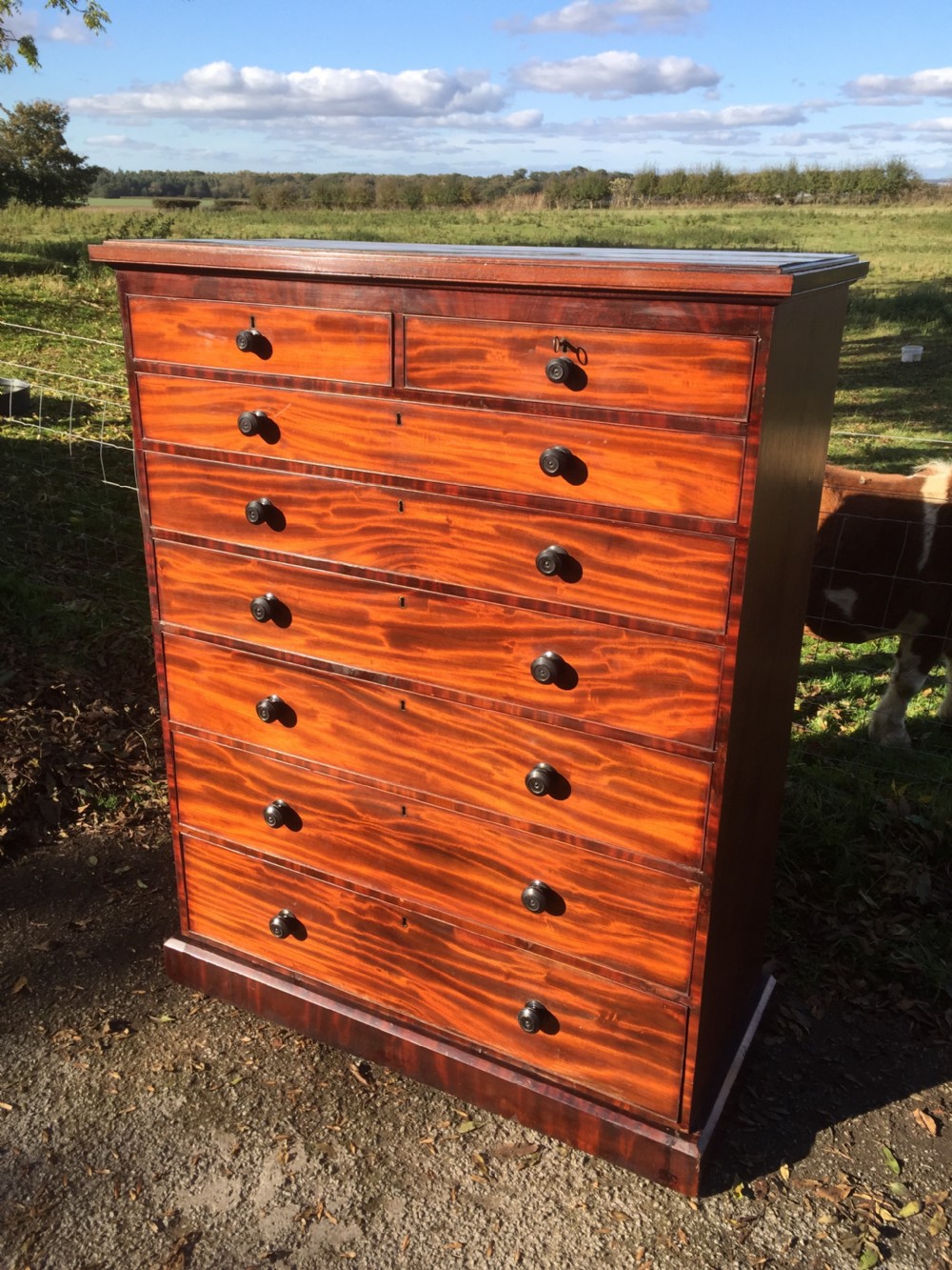 Nineteenth century seven height flame mahogany Chest Of Drawers  View XII