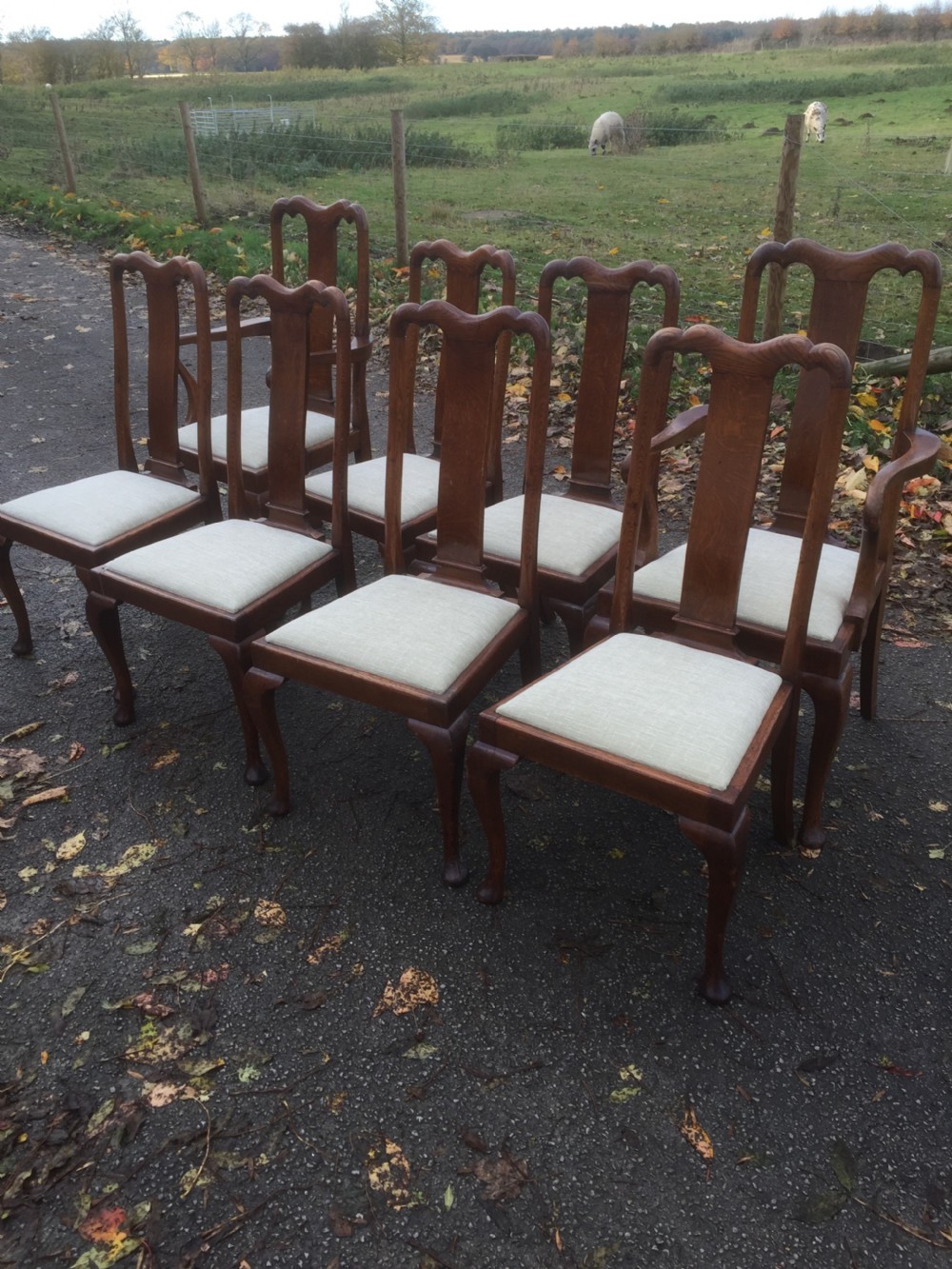 Eight Edwardian solid oak Queen Anne style dining chairs  View II