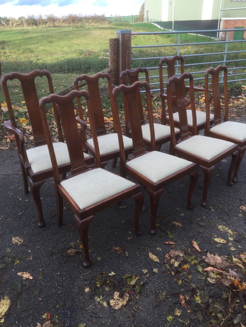 Eight Edwardian solid oak Queen Anne style dining chairs  View III