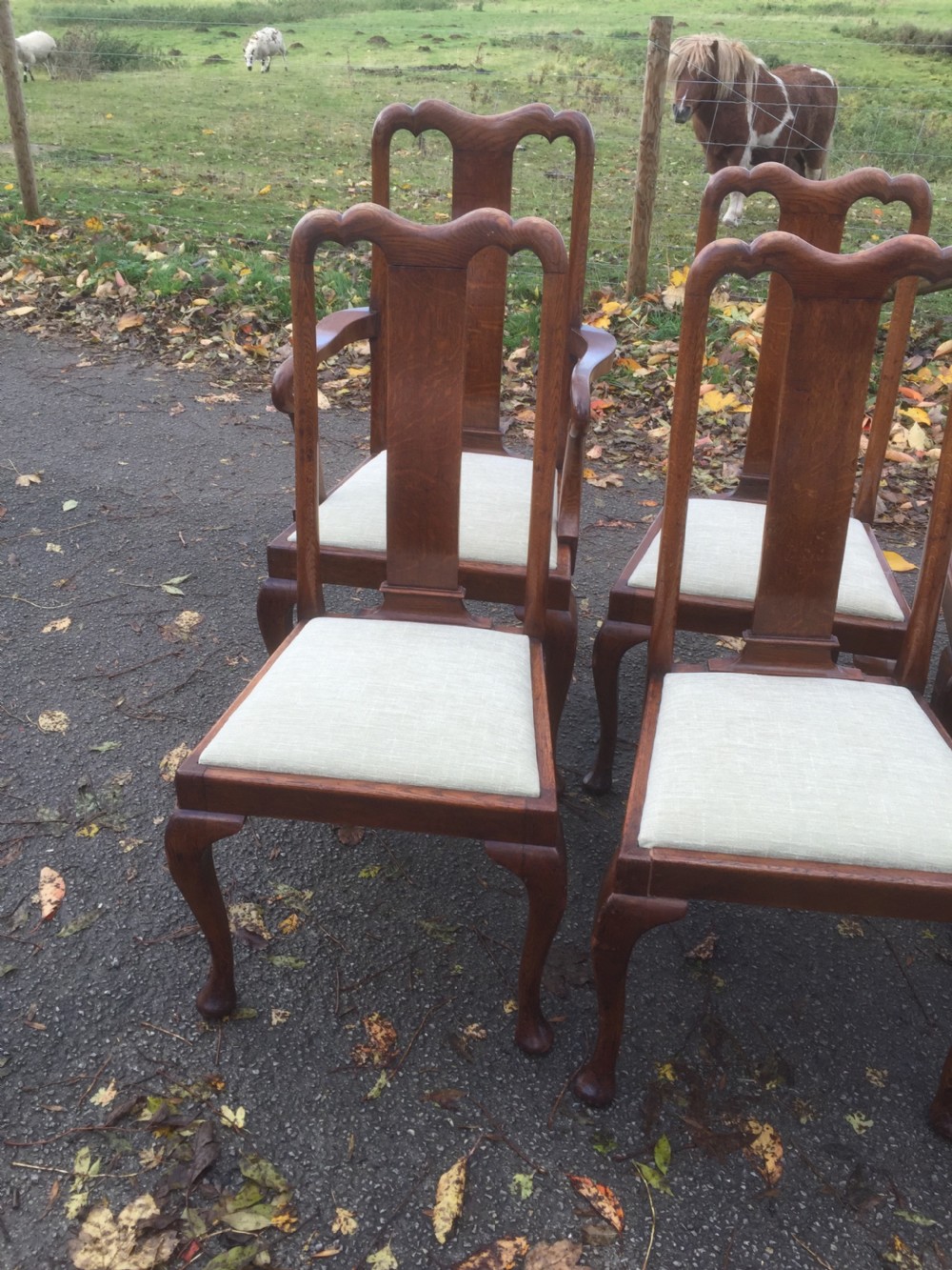 Eight Edwardian solid oak Queen Anne style dining chairs  View IV