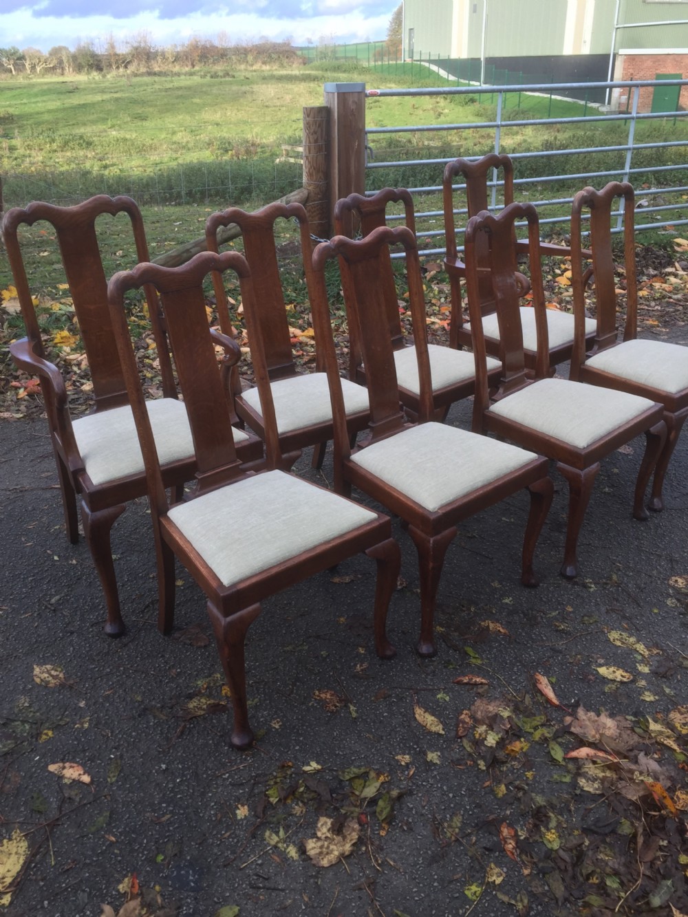 Eight Edwardian solid oak Queen Anne style dining chairs  View V