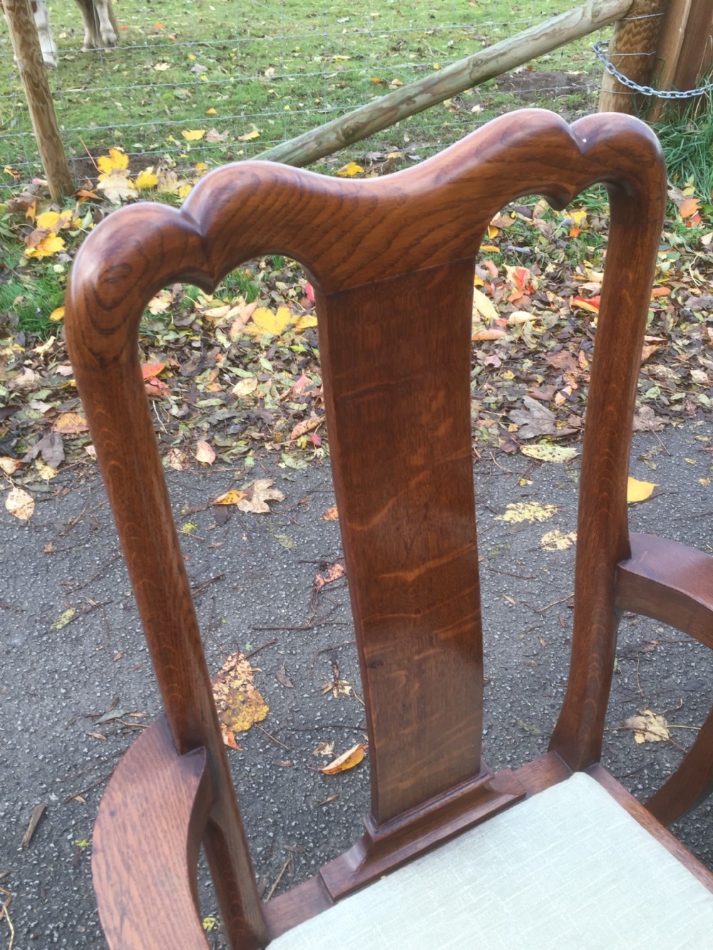 Eight Edwardian solid oak Queen Anne style dining chairs  View VII