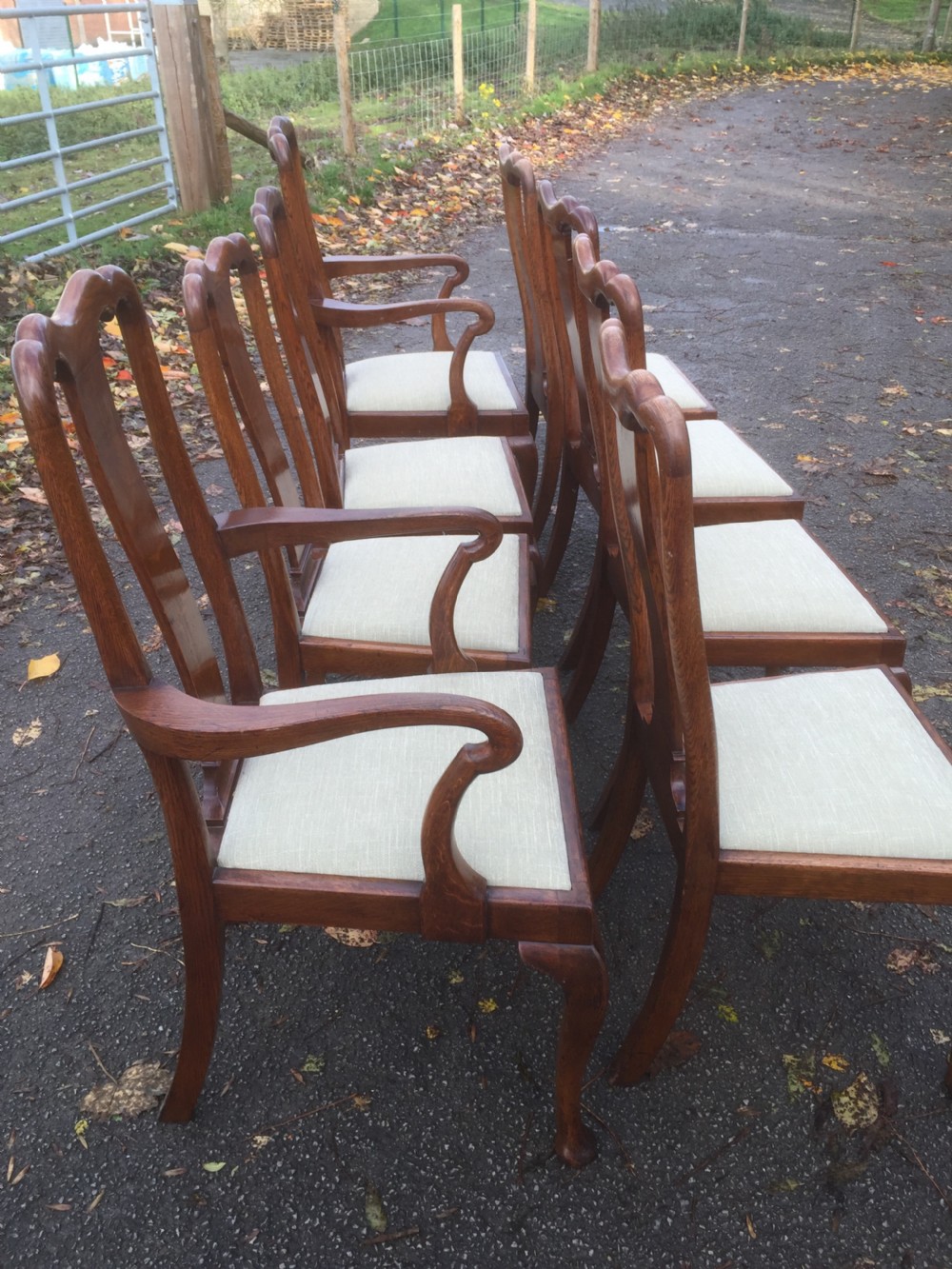 Eight Edwardian solid oak Queen Anne style dining chairs  View XI