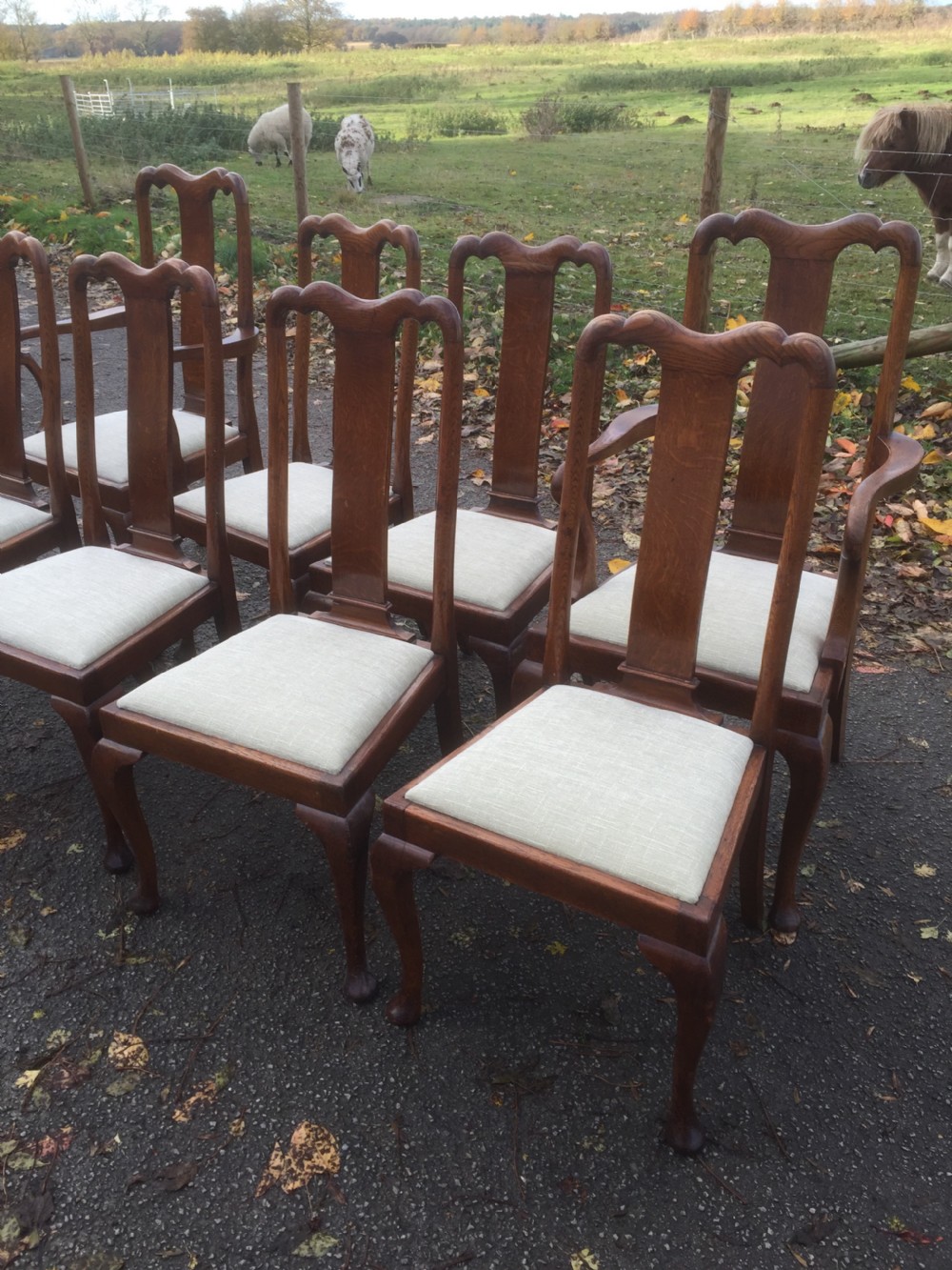 Eight Edwardian solid oak Queen Anne style dining chairs  View XIII