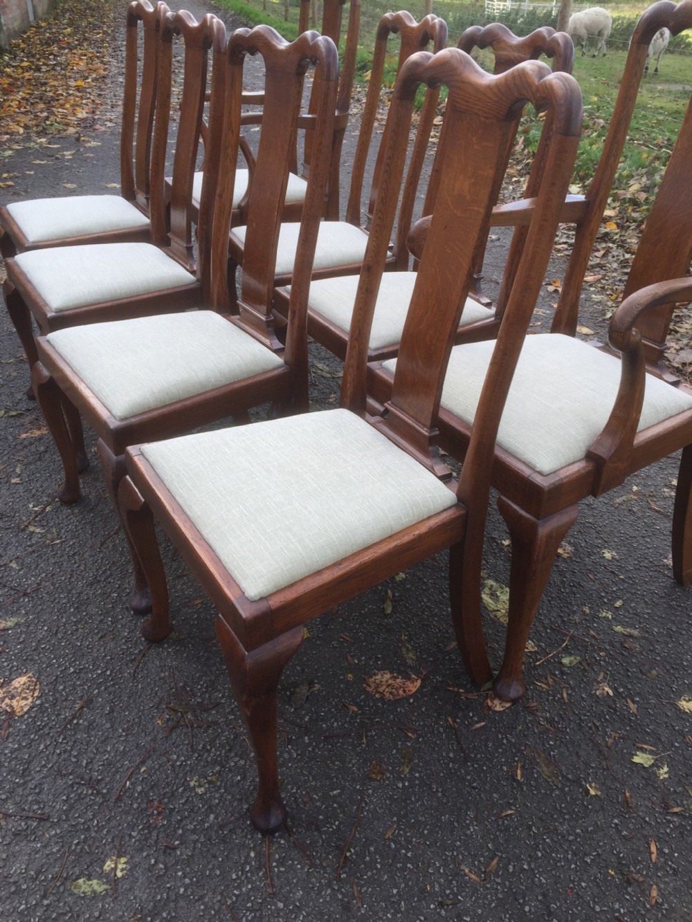 Eight Edwardian solid oak Queen Anne style dining chairs  View XIV