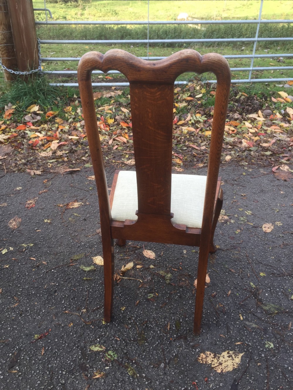Eight Edwardian solid oak Queen Anne style dining chairs  View XVII