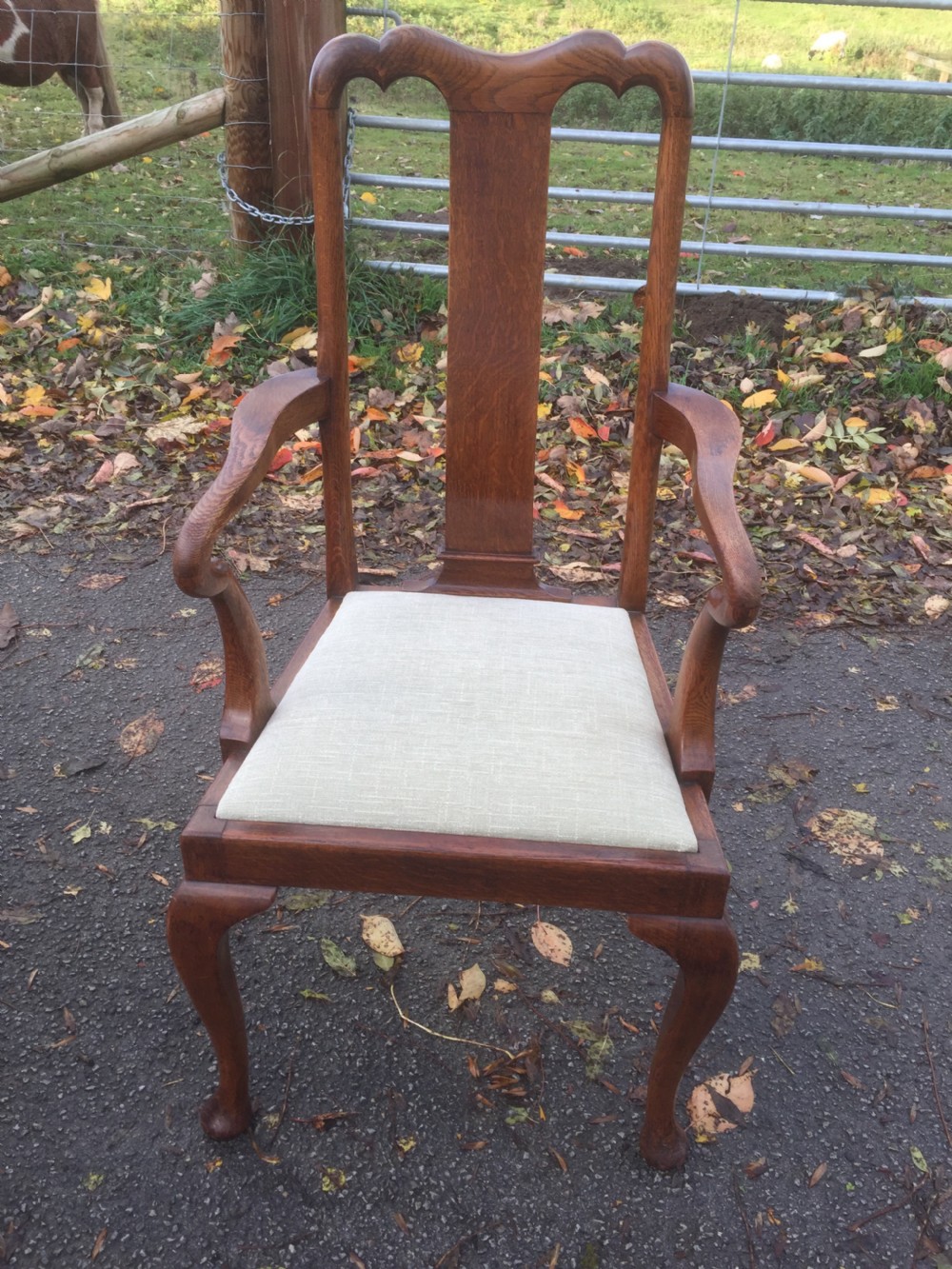 Eight Edwardian solid oak Queen Anne style dining chairs  View XVIII