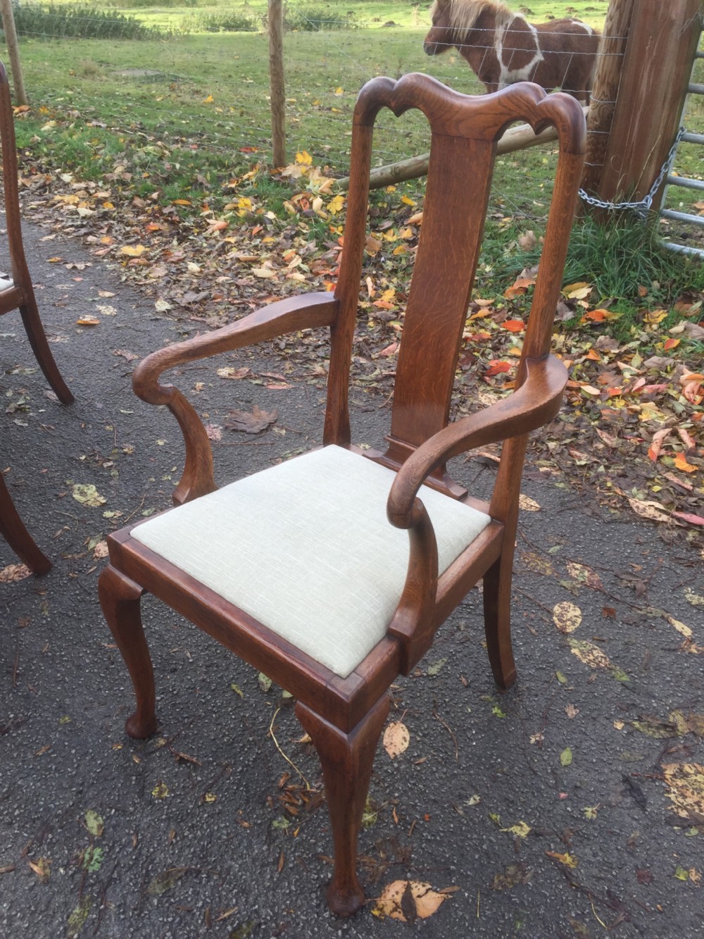 Eight Edwardian solid oak Queen Anne style dining chairs  View XIX