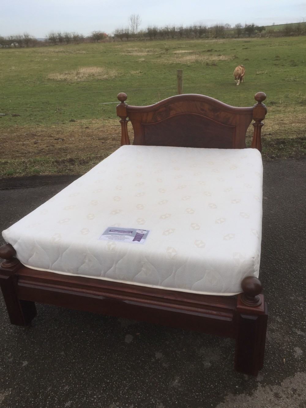 Nineteenth century flame mahogany double bed circa 1870 View II