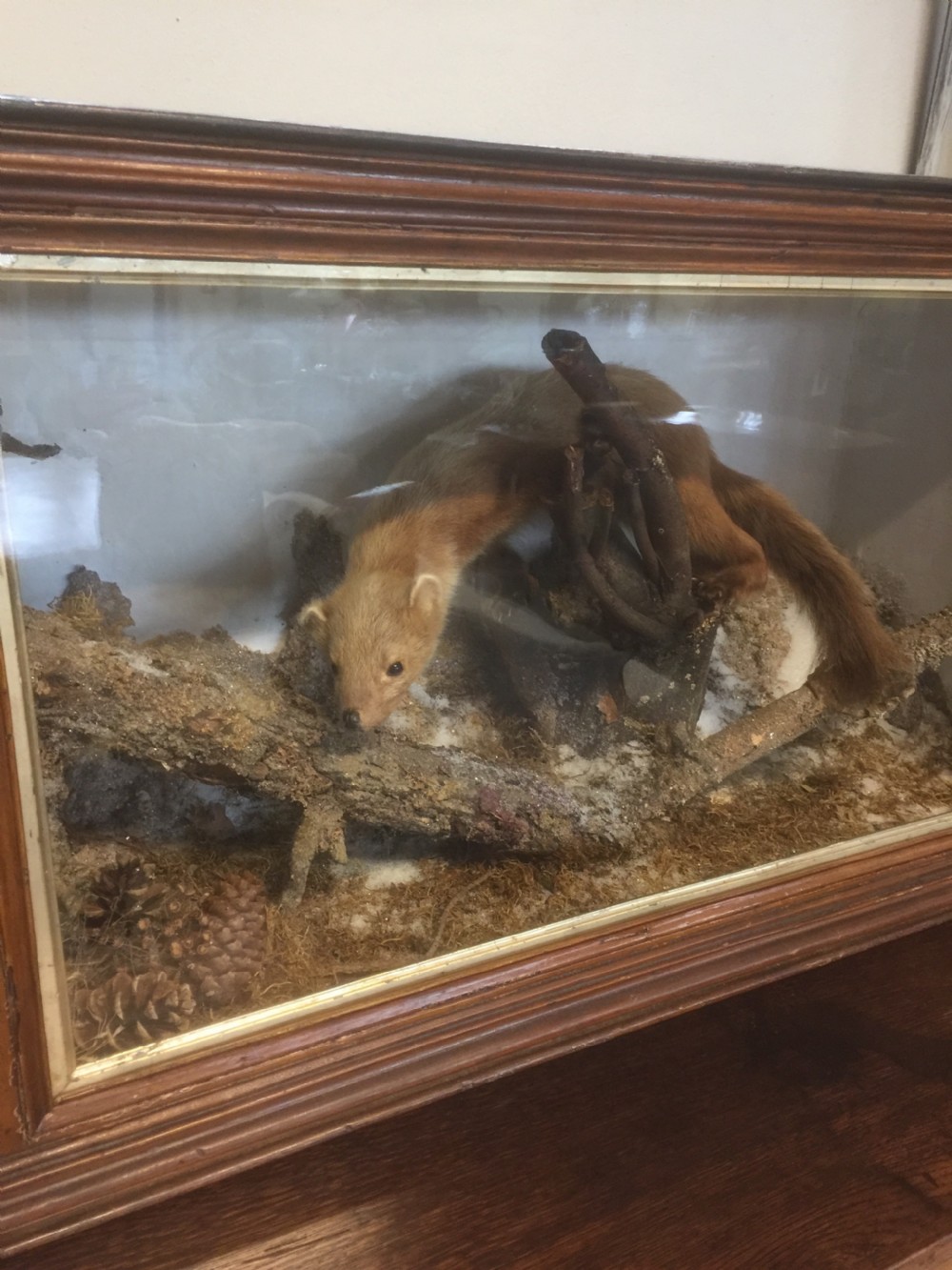 Museum cased Pine Martin Well mounted View III