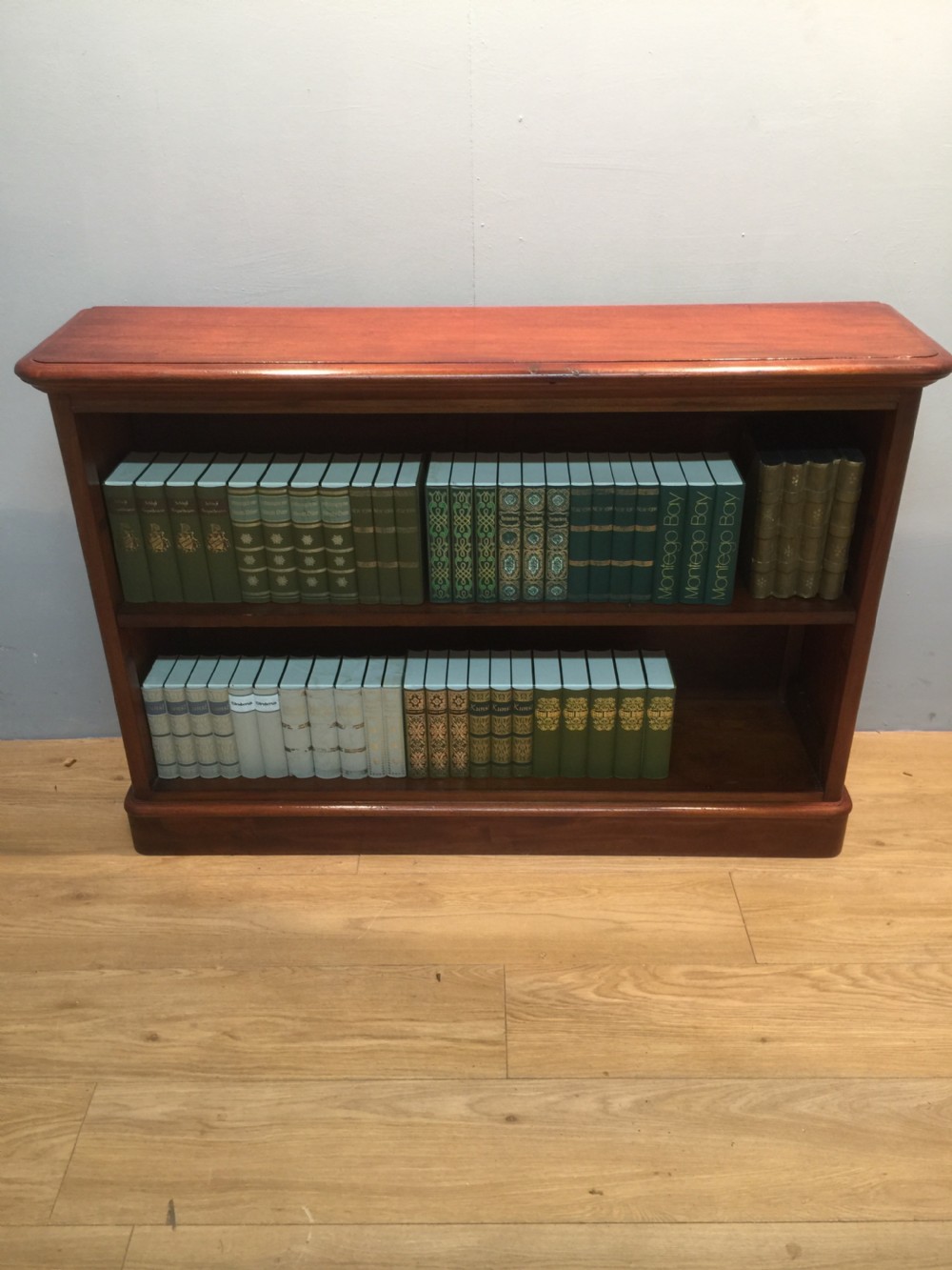Nineteenth century mahogany open bookshelves View V