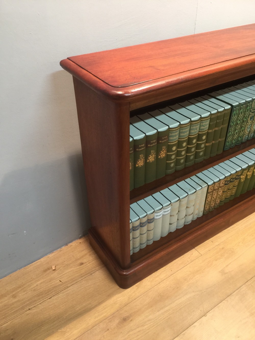 Nineteenth century mahogany open bookshelves View VIII