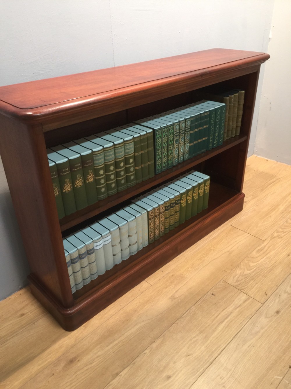 Nineteenth century mahogany open bookshelves View IX