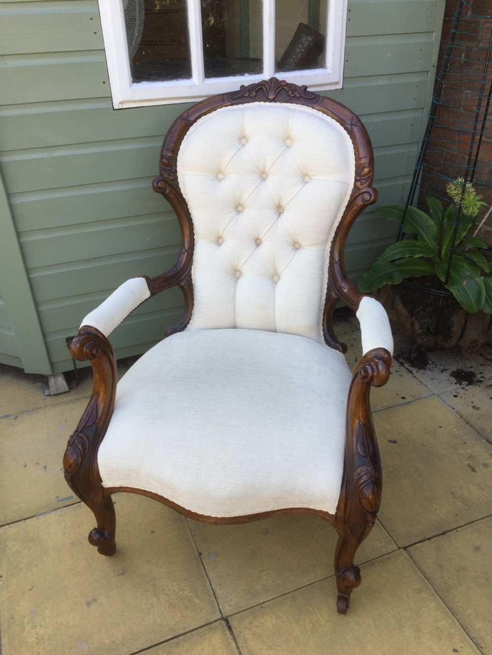 Nineteenth century walnut open armchair in cream velvet  View II