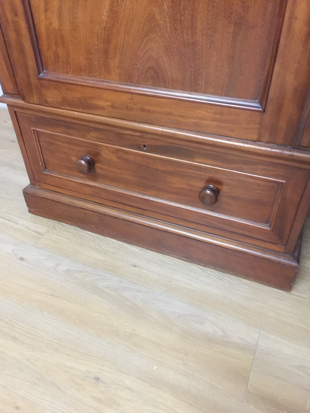 Nineteenth century mahogany slim hall robe View II