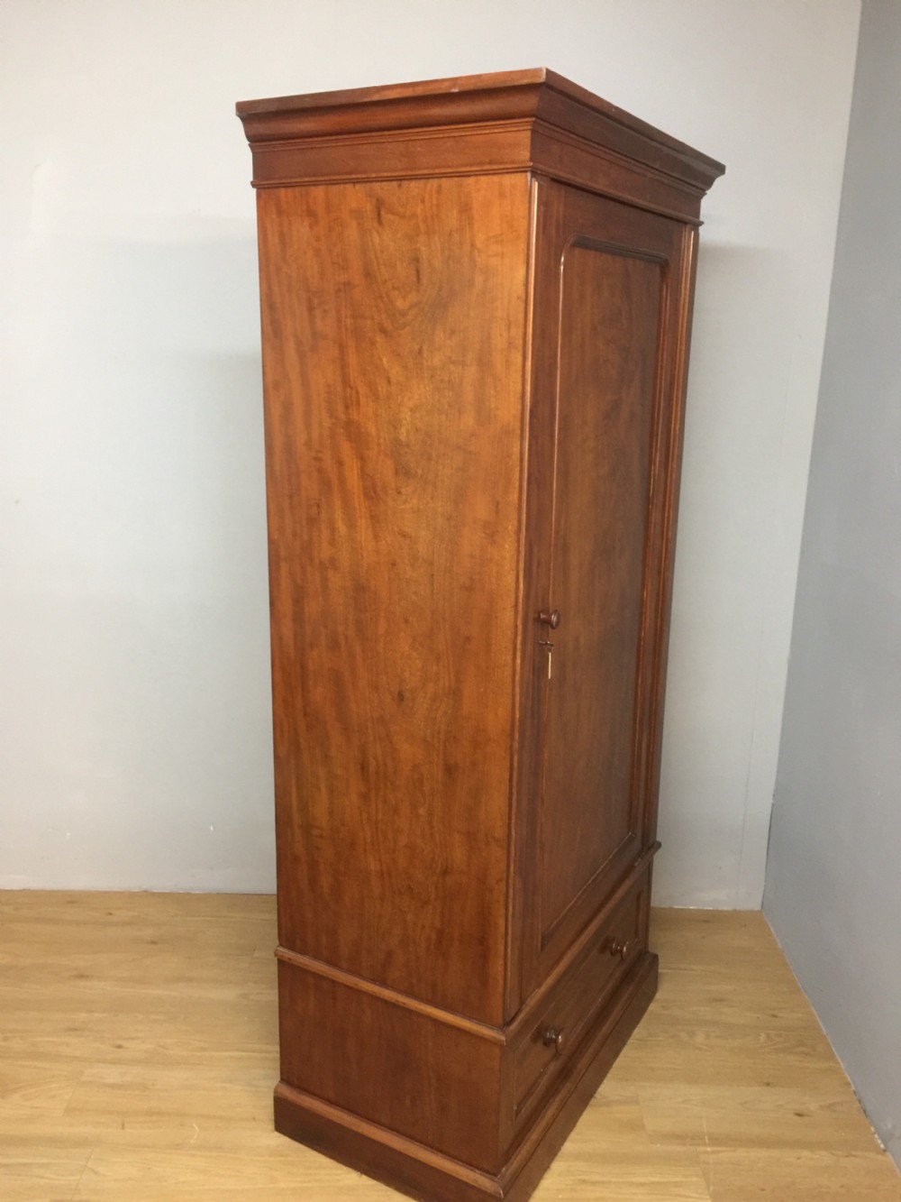 Nineteenth century mahogany slim hall robe View VI