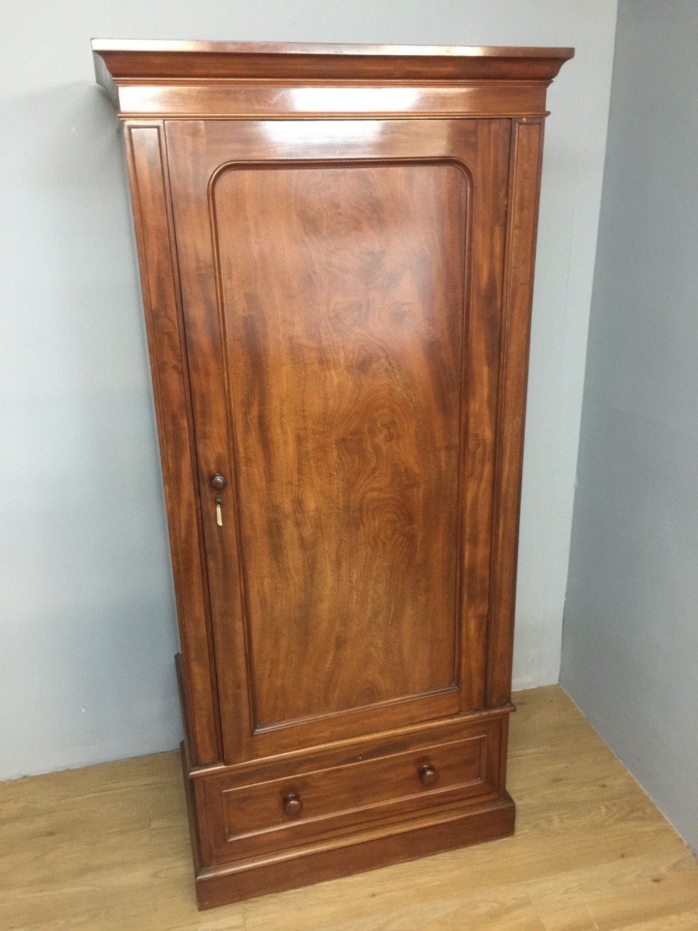 Nineteenth century mahogany slim hall robe View VIII