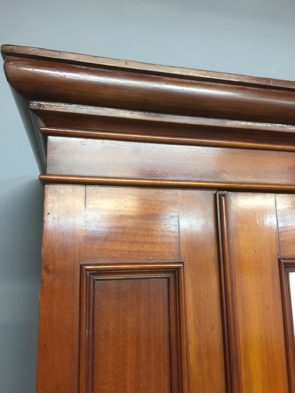 Nineteenth century walnut single door wardrobe View IV