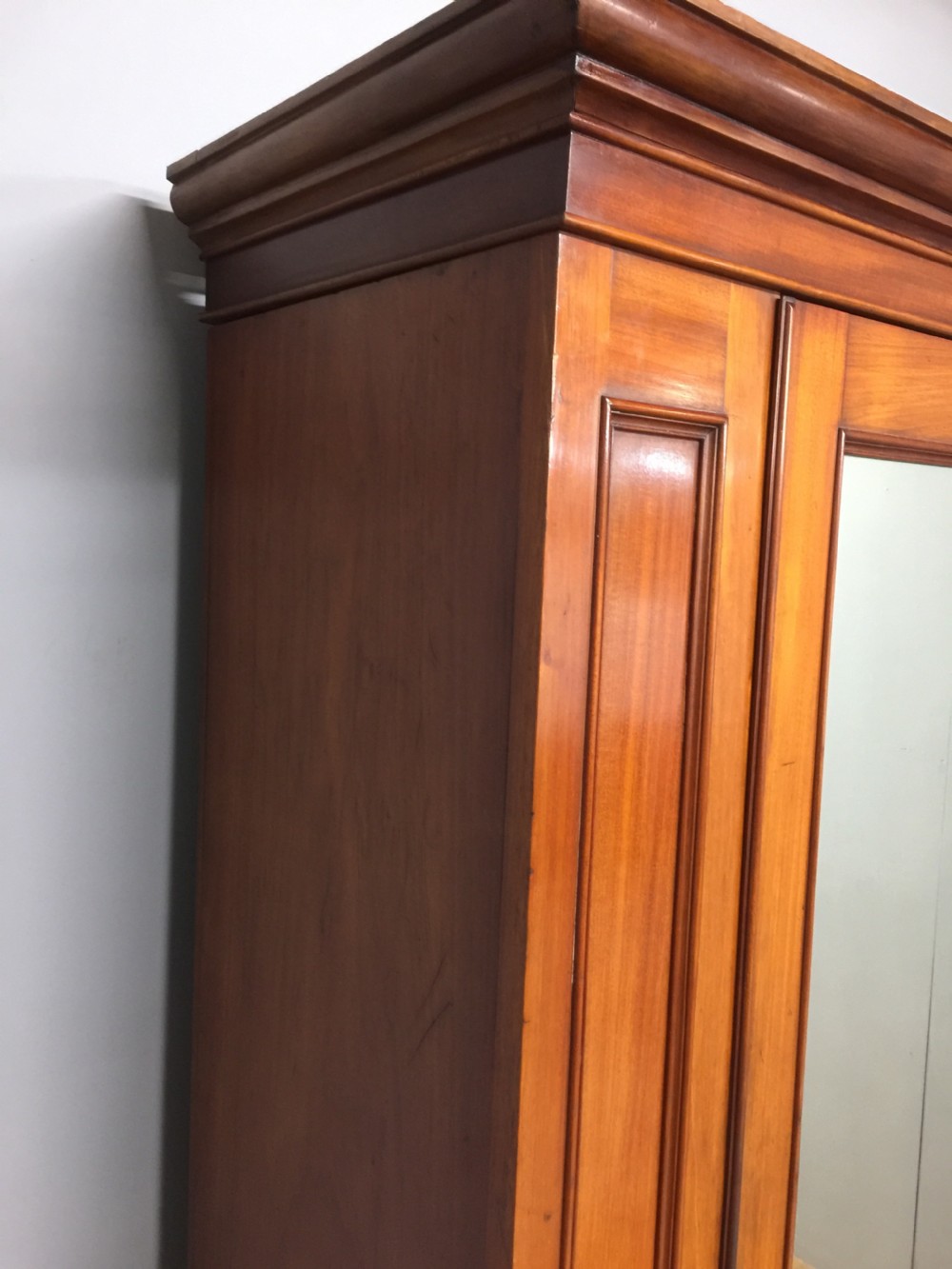 Nineteenth century walnut single door wardrobe View V