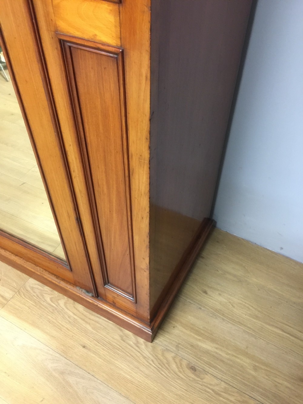 Nineteenth century walnut single door wardrobe View VIII