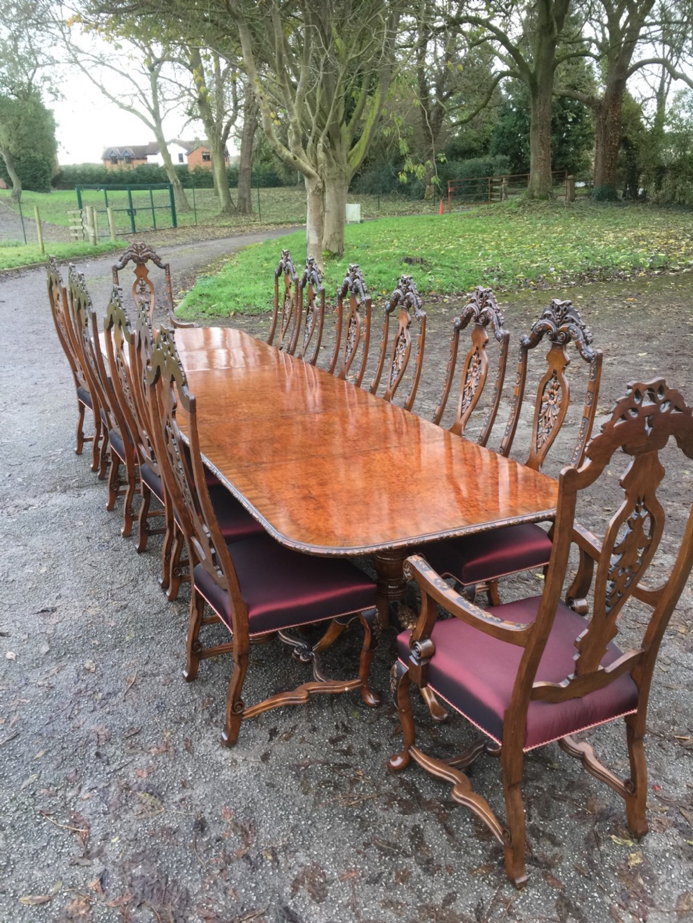 Burr walnut 14 seater dining table with 14 dining chairs