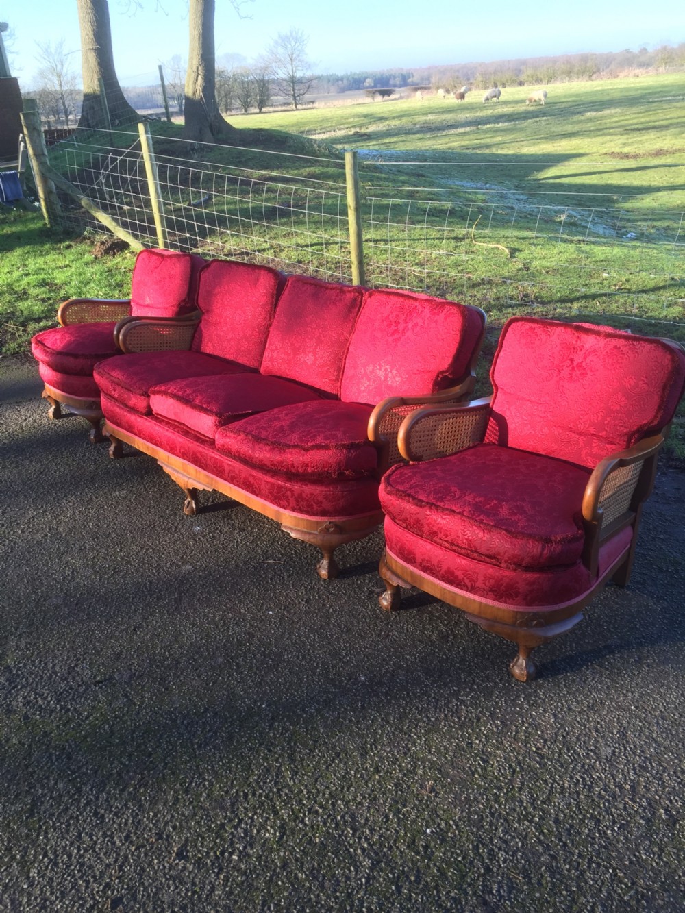 Walnut bergere three piece suite with feather seat and back cushions  View IV
