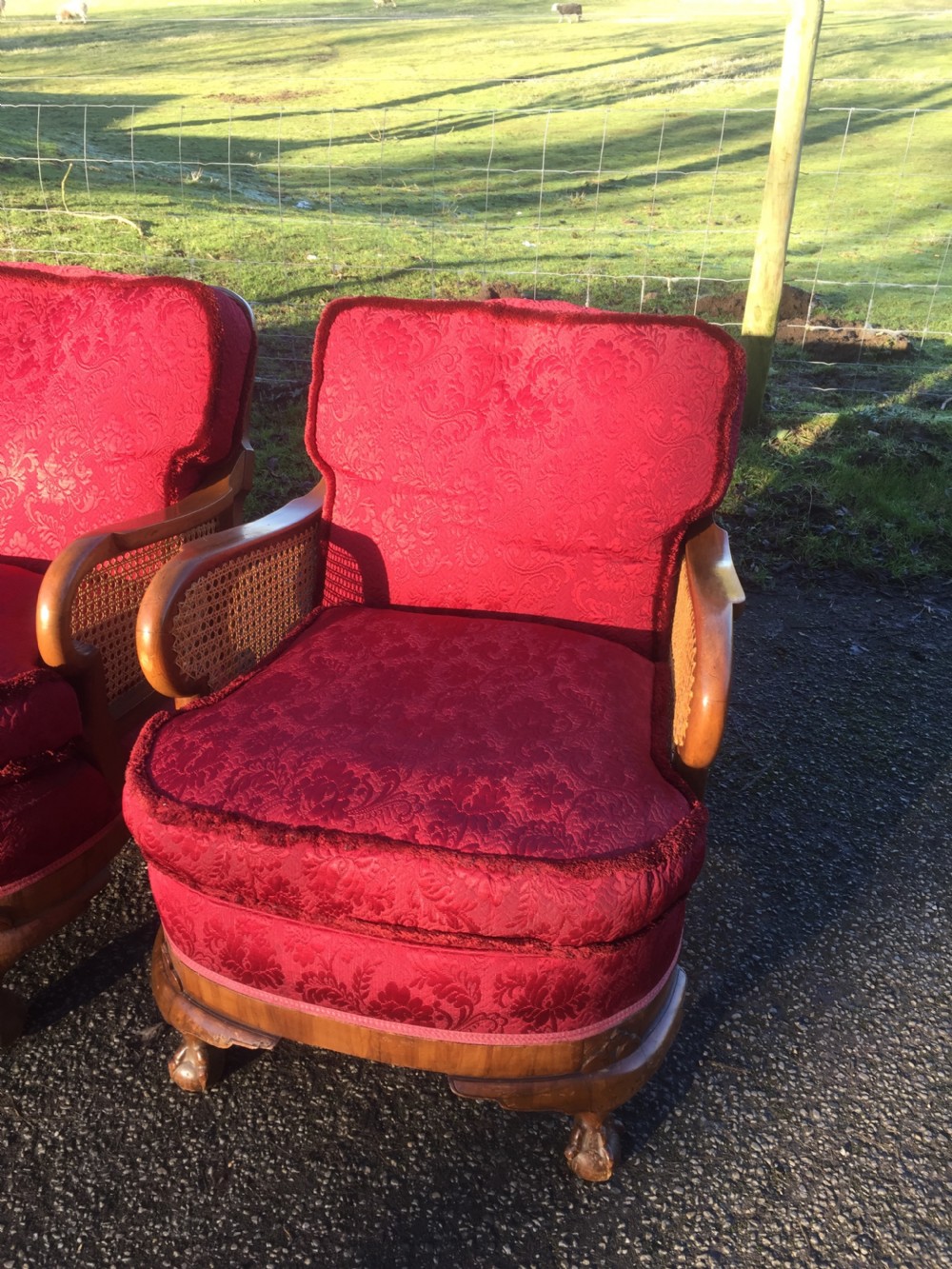 Walnut bergere three piece suite with feather seat and back cushions  View IX