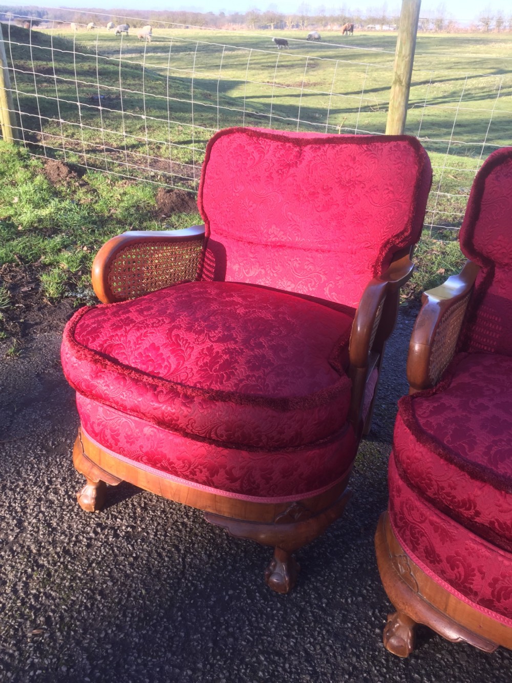 Walnut bergere three piece suite with feather seat and back cushions  View XI