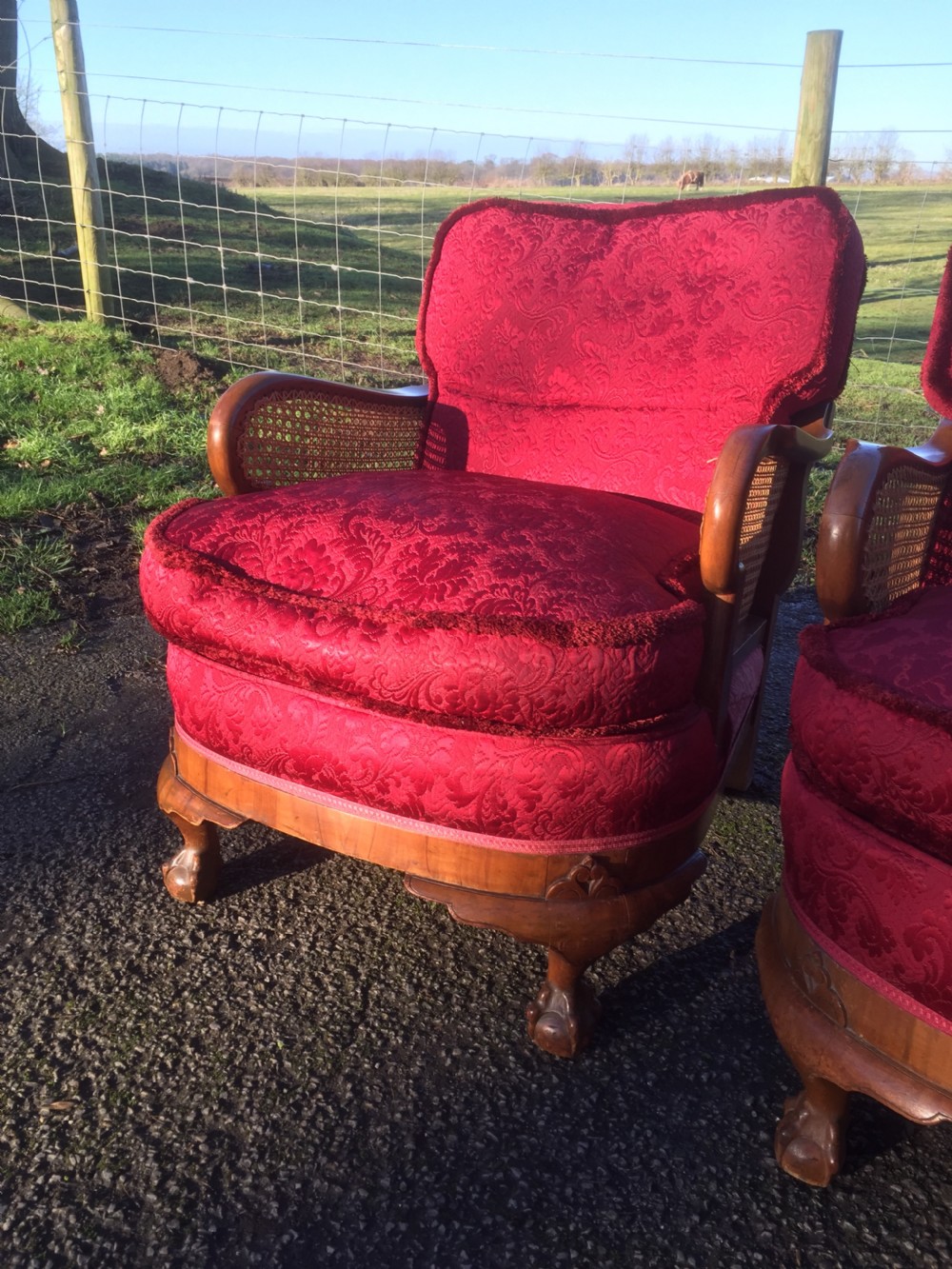 Walnut bergere three piece suite with feather seat and back cushions  View XIV