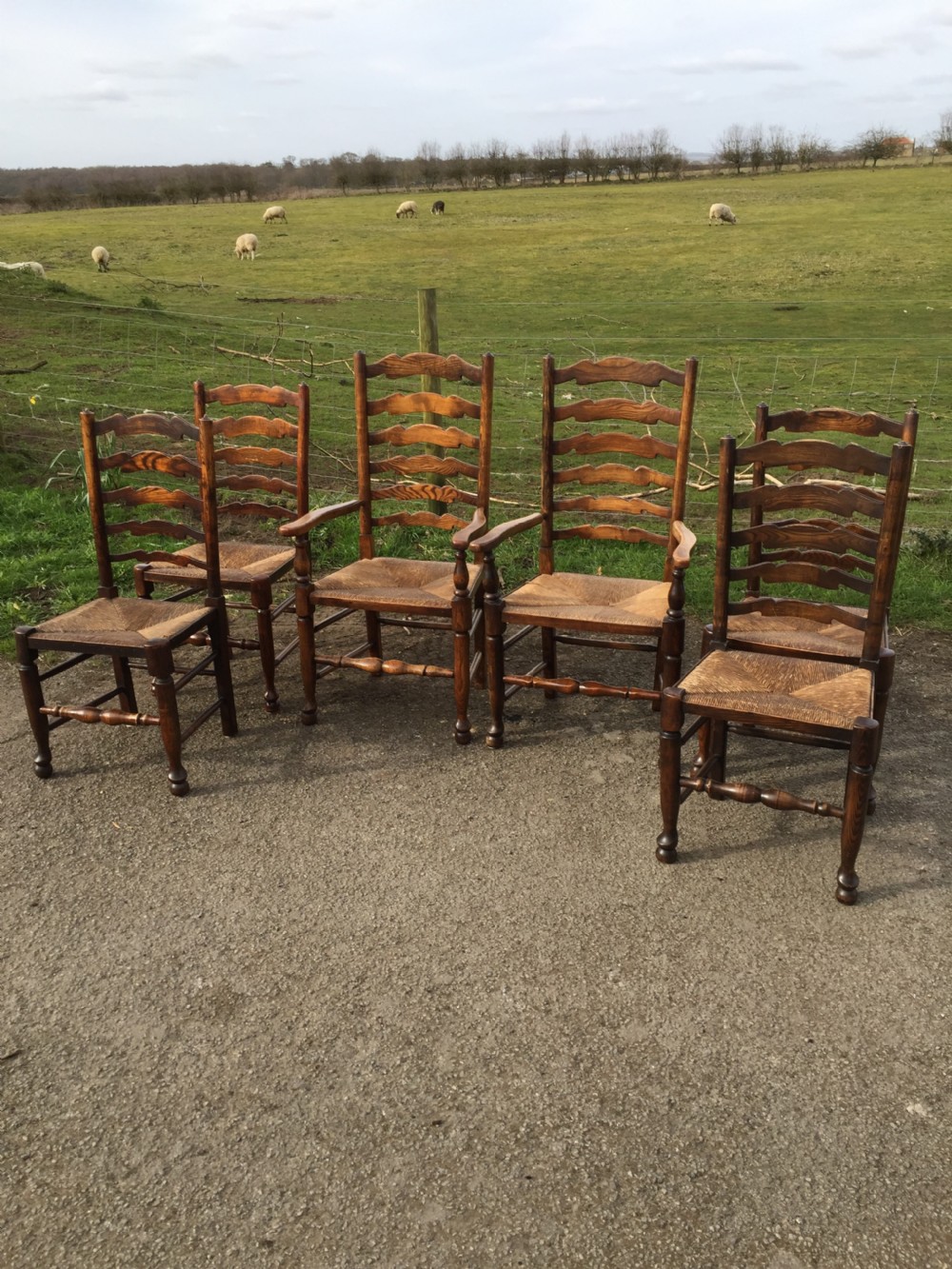 Set of six ladder back rush seated country chairs  View II