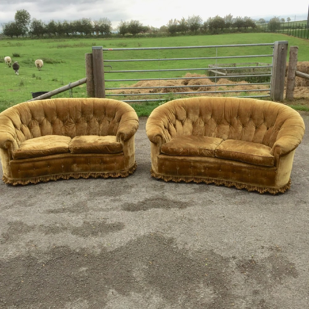 Pair of country house sofas in gold velvet with feather seat cushions 