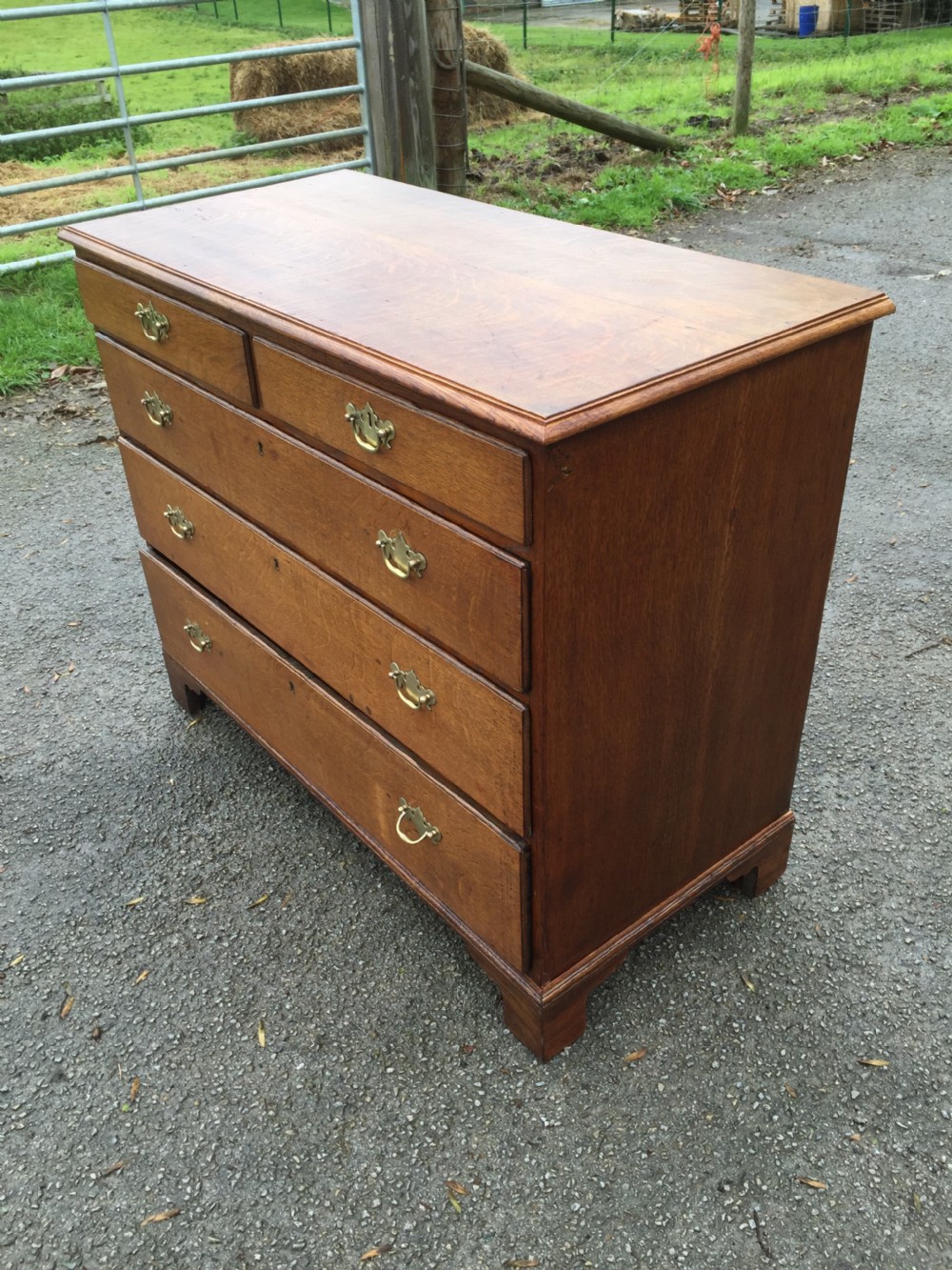 Late Georgian solid oak chest of drawers  View IV