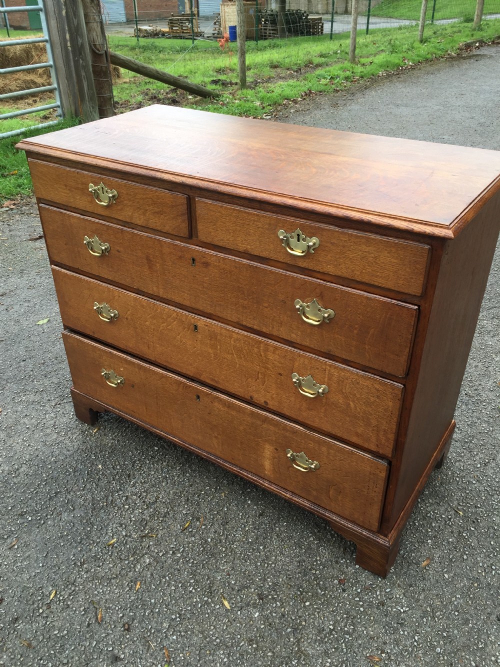 Late Georgian solid oak chest of drawers  View XI