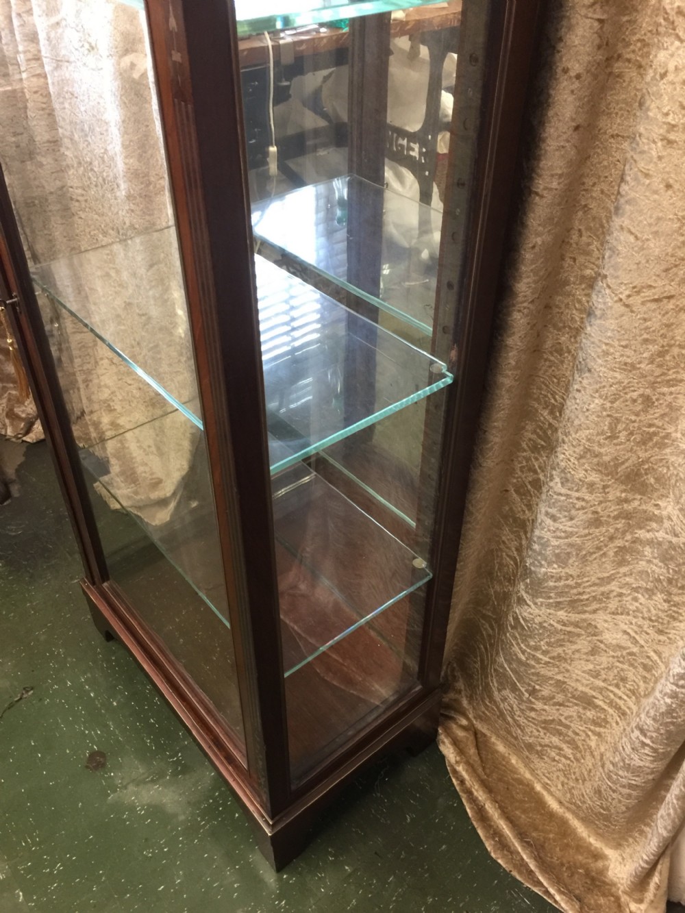 Nineteenth century mahogany brass inlaid pier display cabinet View IX