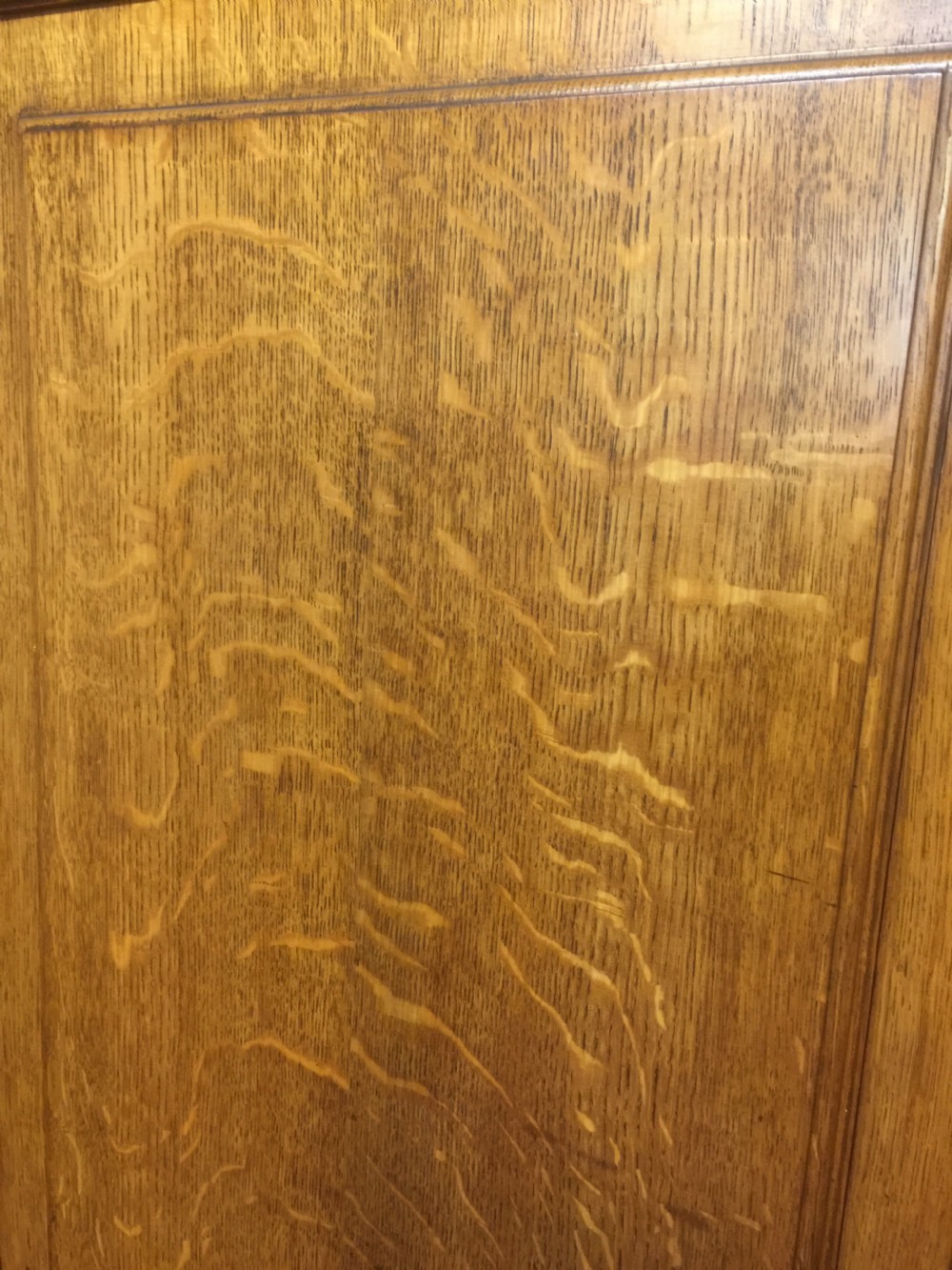 Nineteenth century golden oak  country house hall robe View IX