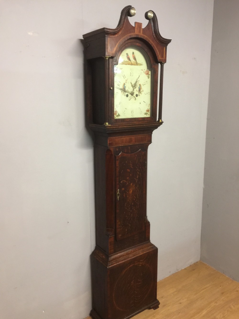 Georgian eight day oak faded long case clock. Working  View XVII