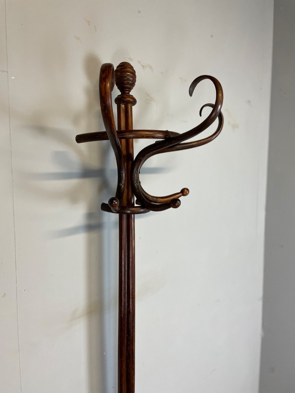 Nineteenth century half round bentwood hat stand Excellent quality View II