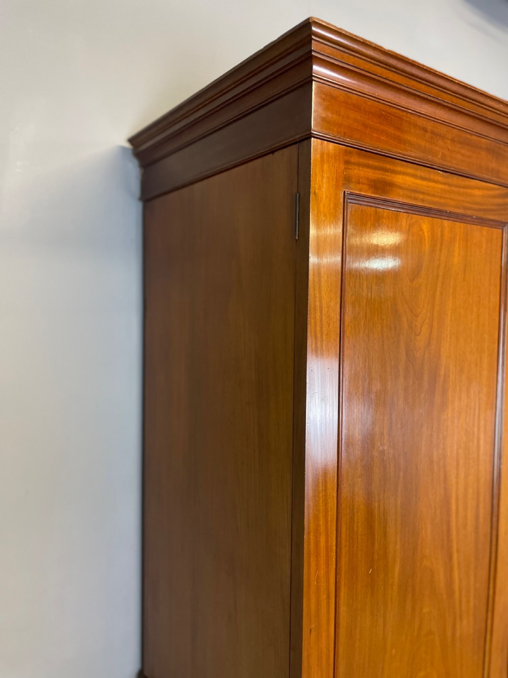 Nineteenth century mahogany clothes press View VI