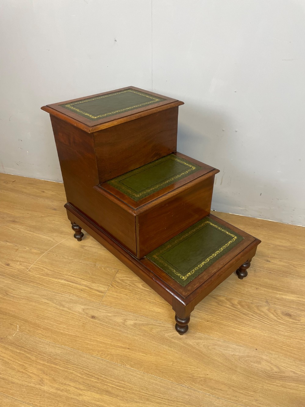 Nineteenth century mahogany library steps  View II